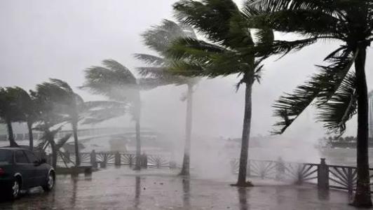 8月臺(tái)風(fēng)雨即將來，除濕機(jī)還得用起來