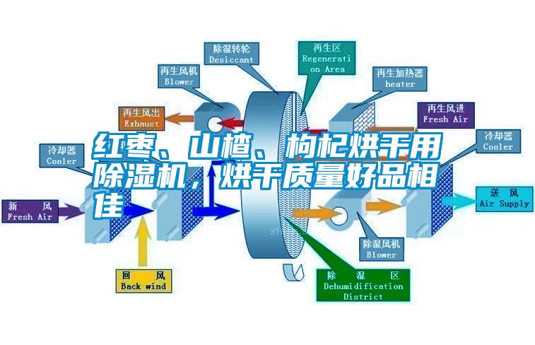 紅棗、山楂、枸杞烘干用除濕機，烘干質量好品相佳