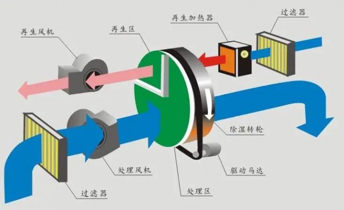 廁所潮濕久而久之會生蟲還是？