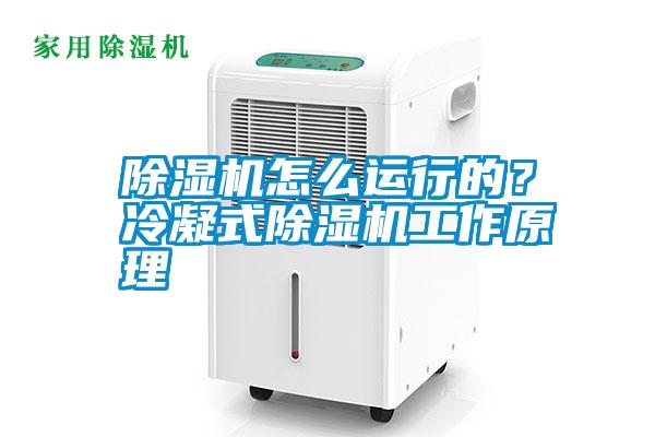 除濕機怎么運行的？冷凝式除濕機工作原理