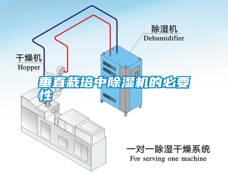 垂直栽培中除濕機(jī)的必要性