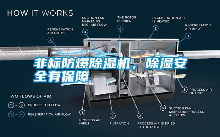 非標(biāo)防爆除濕機(jī)，除濕安全有保障