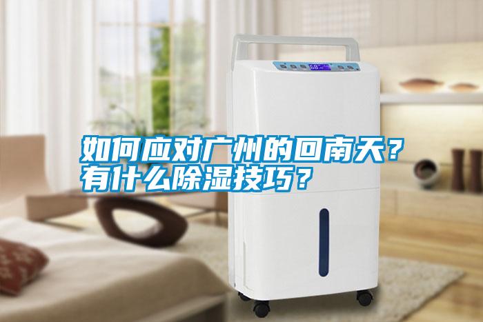 如何應(yīng)對廣州的回南天？有什么除濕技巧？