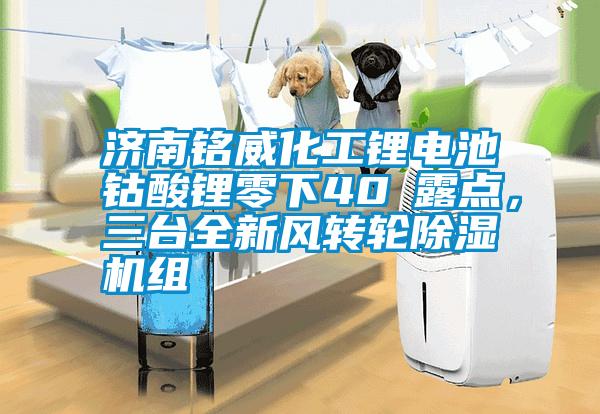 濟(jì)南銘威化工鋰電池鈷酸鋰零下40℃露點(diǎn)，三臺(tái)全新風(fēng)轉(zhuǎn)輪除濕機(jī)組