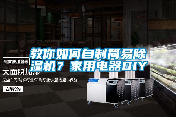 教你如何自制簡易除濕機(jī)？家用電器DIY