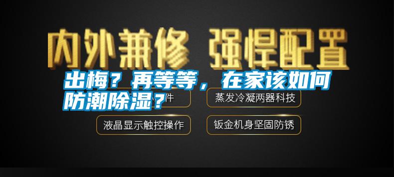 出梅？再等等，在家該如何防潮除濕？