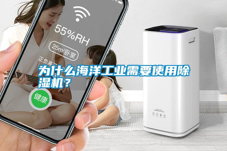 為什么海洋工業(yè)需要使用除濕機？