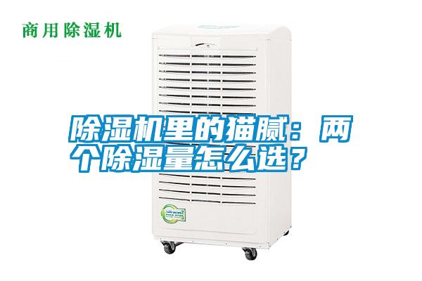 除濕機(jī)里的貓膩：兩個(gè)除濕量怎么選？