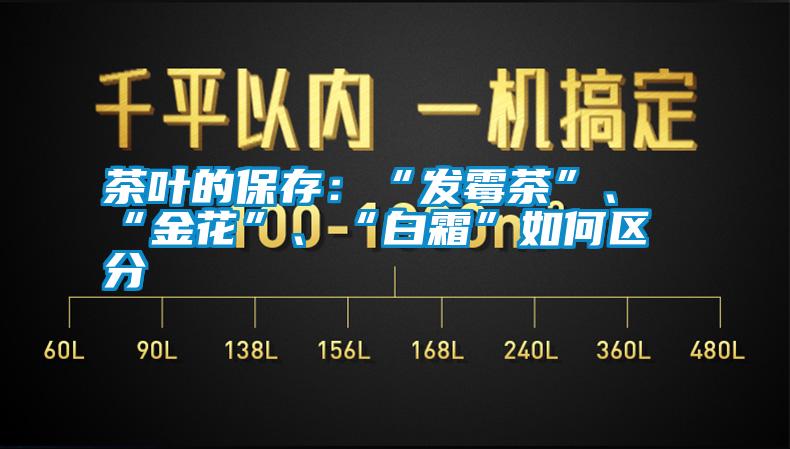 茶葉的保存：“發(fā)霉茶”、“金花”、“白霜”如何區(qū)分