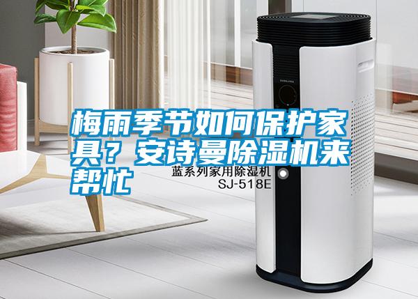 梅雨季節(jié)如何保護(hù)家具？安詩(shī)曼除濕機(jī)來(lái)幫忙