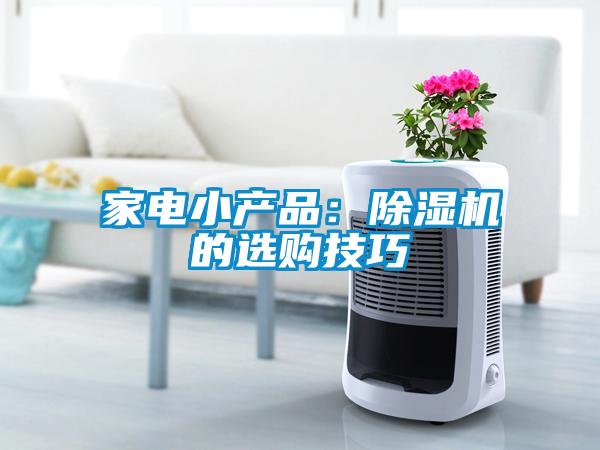 家電小產(chǎn)品：除濕機的選購技巧