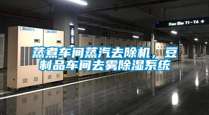 蒸煮車間蒸汽去除機，豆制品車間去霧除濕系統