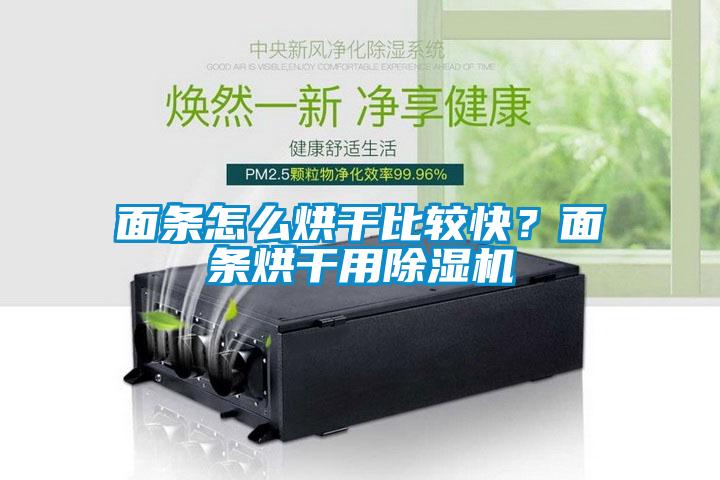 面條怎么烘干比較快？面條烘干用除濕機(jī)