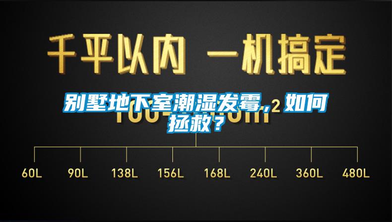 別墅地下室潮濕發(fā)霉，如何拯救？