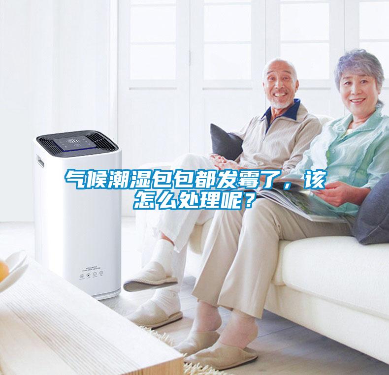 氣候潮濕包包都發(fā)霉了，該怎么處理呢？