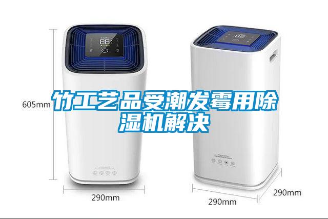 竹工藝品受潮發(fā)霉用除濕機解決