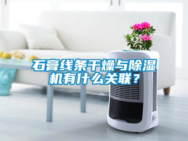 石膏線條干燥與除濕機有什么關聯(lián)？