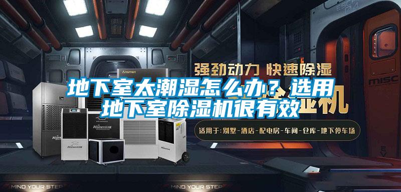 地下室太潮濕怎么辦？選用地下室除濕機(jī)很有效