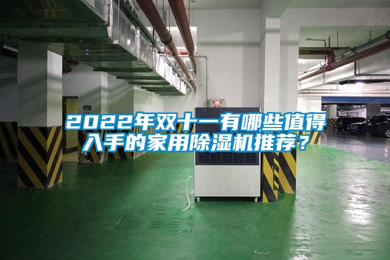 2022年雙十一有哪些值得入手的家用除濕機(jī)推薦？