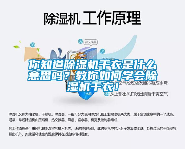 你知道除濕機干衣是什么意思嗎？教你如何學會除濕機干衣！