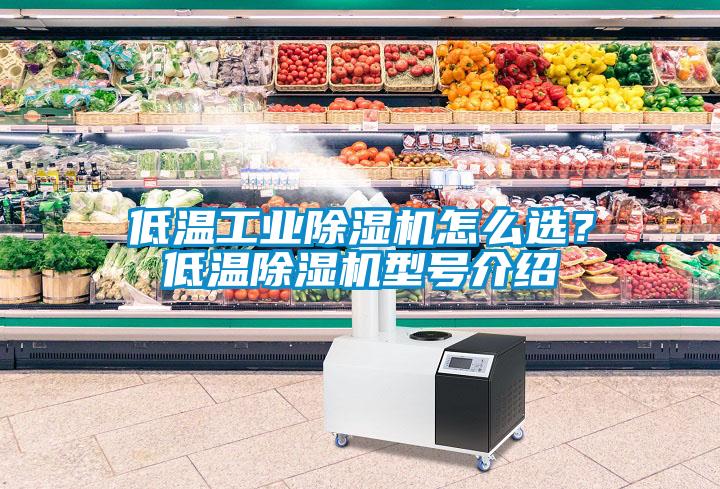 低溫工業(yè)除濕機怎么選？低溫除濕機型號介紹