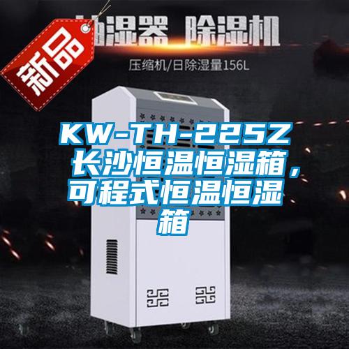 KW-TH-225Z 長沙恒溫恒濕箱，可程式恒溫恒濕箱