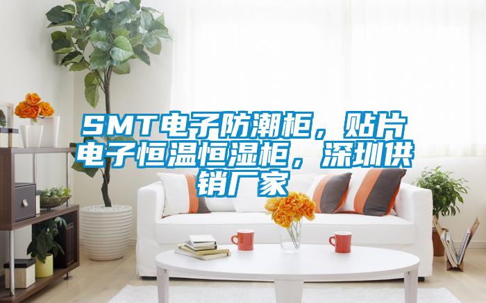 SMT電子防潮柜，貼片電子恒溫恒濕柜，深圳供銷廠家