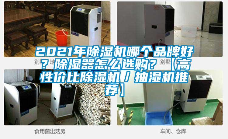 2021年除濕機哪個品牌好？除濕器怎么選購？【高性價比除濕機／抽濕機推薦】