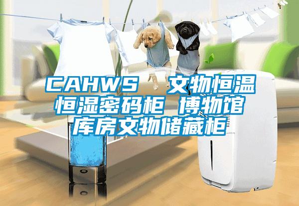 CAHWS  文物恒溫恒濕密碼柜 博物館庫(kù)房文物儲(chǔ)藏柜