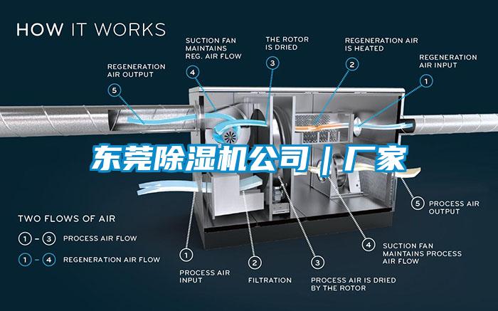 東莞除濕機公司｜廠家