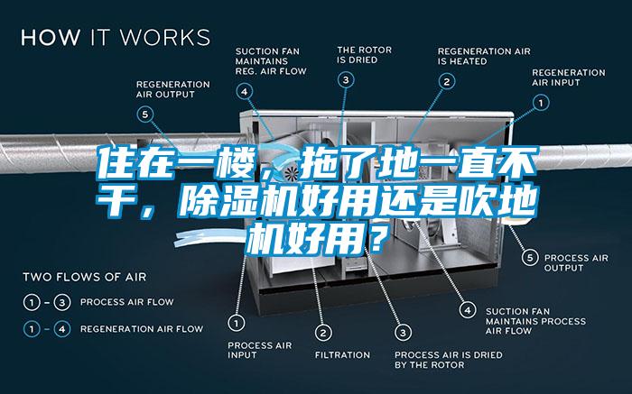 住在一樓，拖了地一直不干，除濕機好用還是吹地機好用？