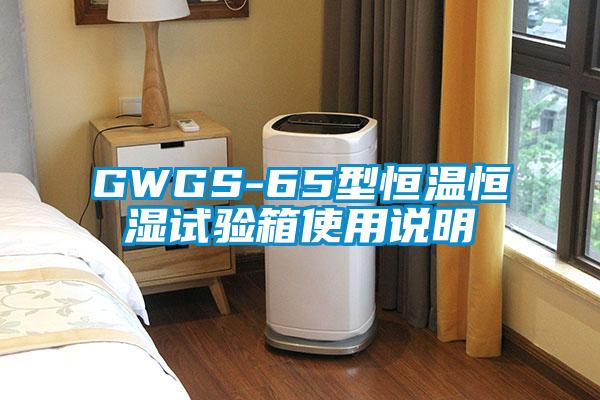 GWGS-65型恒溫恒濕試驗箱使用說明