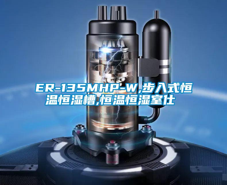 ER-135MHP-W,步入式恒溫恒濕槽,恒溫恒濕室仕様書