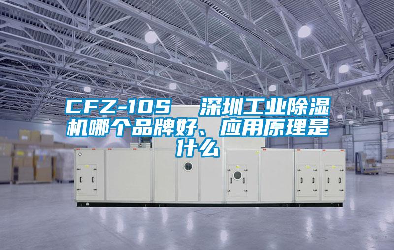 CFZ-10S  深圳工業(yè)除濕機哪個品牌好、應用原理是什么