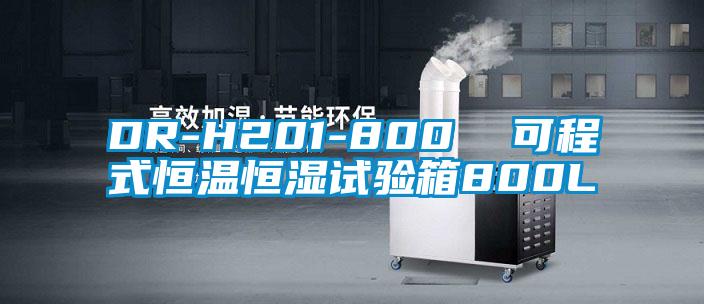 DR-H201-800  可程式恒溫恒濕試驗箱800L