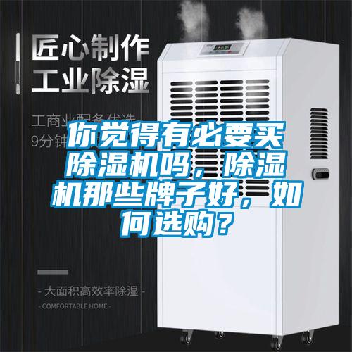 你覺得有必要買除濕機嗎，除濕機那些牌子好，如何選購？