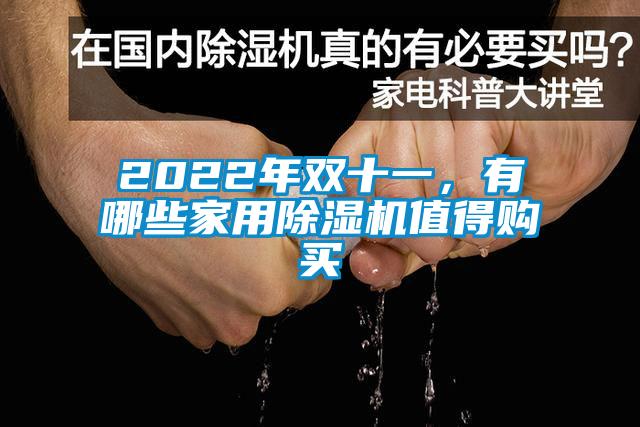 2022年雙十一，有哪些家用除濕機值得購買