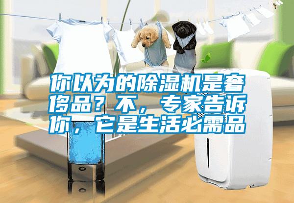 你以為的除濕機是奢侈品？不，專家告訴你，它是生活必需品