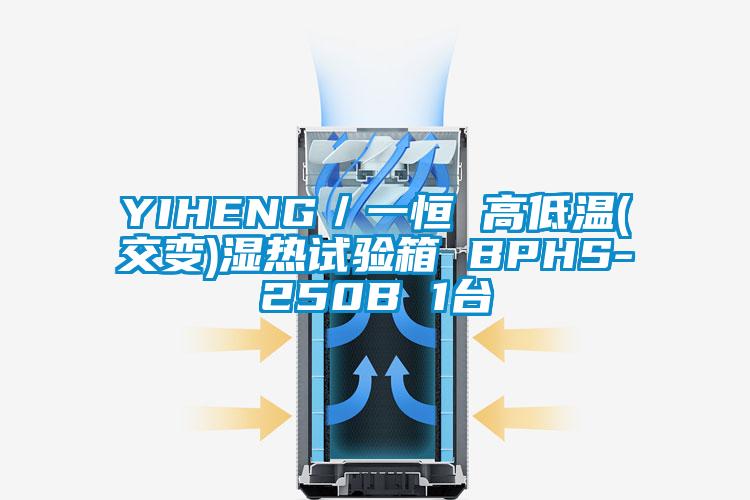 YIHENG／一恒 高低溫(交變)濕熱試驗(yàn)箱 BPHS-250B 1臺(tái)