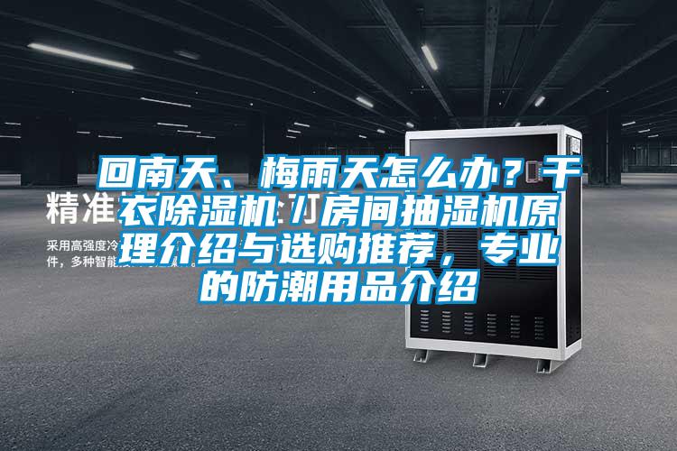 回南天、梅雨天怎么辦？干衣除濕機(jī)／房間抽濕機(jī)原理介紹與選購(gòu)?fù)扑]，專業(yè)的防潮用品介紹