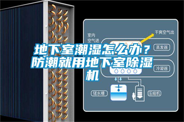 地下室潮濕怎么辦？防潮就用地下室除濕機(jī)