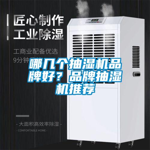 哪幾個抽濕機(jī)品牌好？品牌抽濕機(jī)推薦