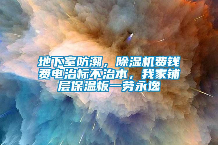 地下室防潮，除濕機費錢費電治標不治本，我家鋪層保溫板一勞永逸