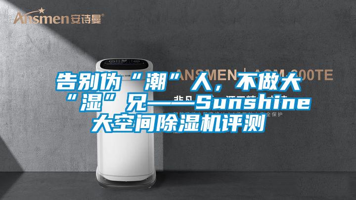 告別偽“潮”人，不做大“濕”兄——Sunshine大空間除濕機評測