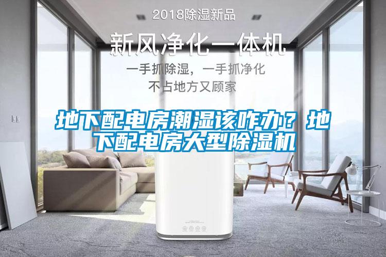 地下配電房潮濕該咋辦？地下配電房大型除濕機(jī)