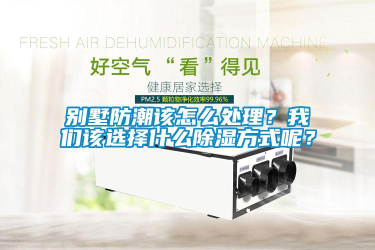 別墅防潮該怎么處理？我們該選擇什么除濕方式呢？