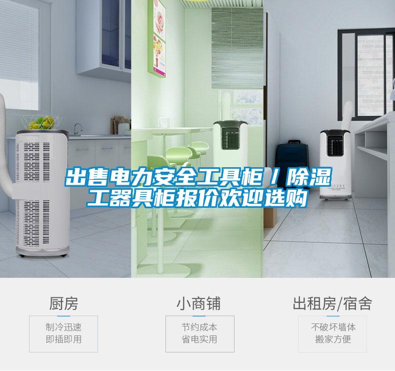 出售電力安全工具柜／除濕工器具柜報(bào)價(jià)歡迎選購