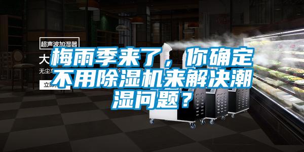 梅雨季來了，你確定不用除濕機(jī)來解決潮濕問題？