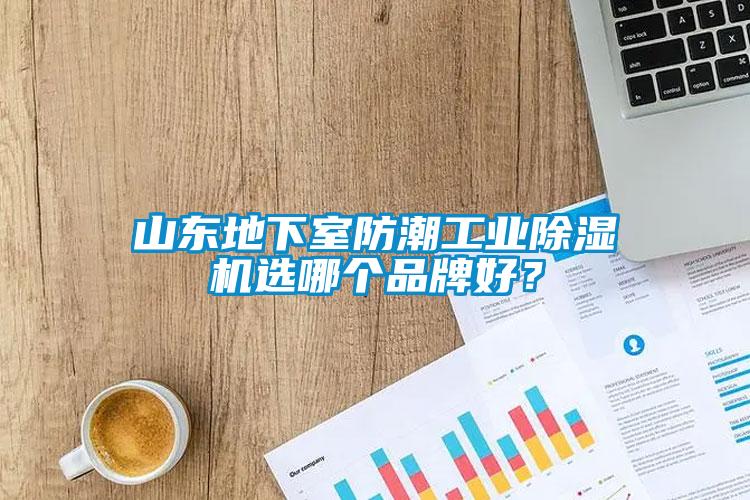 山東地下室防潮工業(yè)除濕機(jī)選哪個(gè)品牌好？