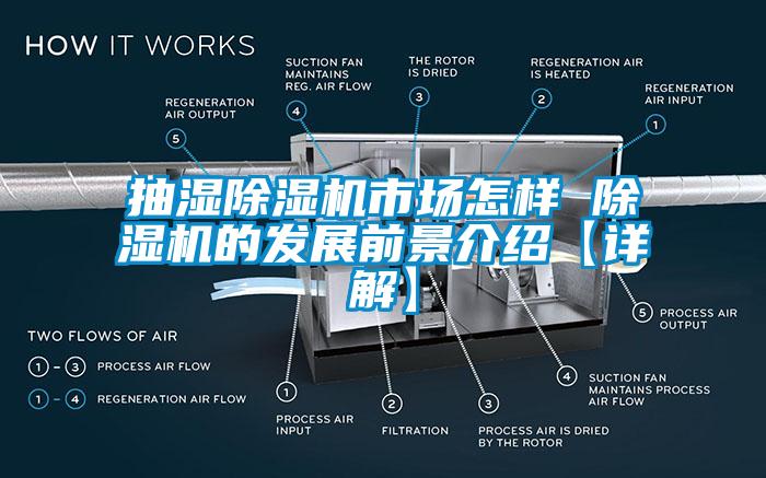 抽濕除濕機市場怎樣 除濕機的發(fā)展前景介紹【詳解】